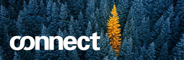 Autumn Connect Newsletter 2023